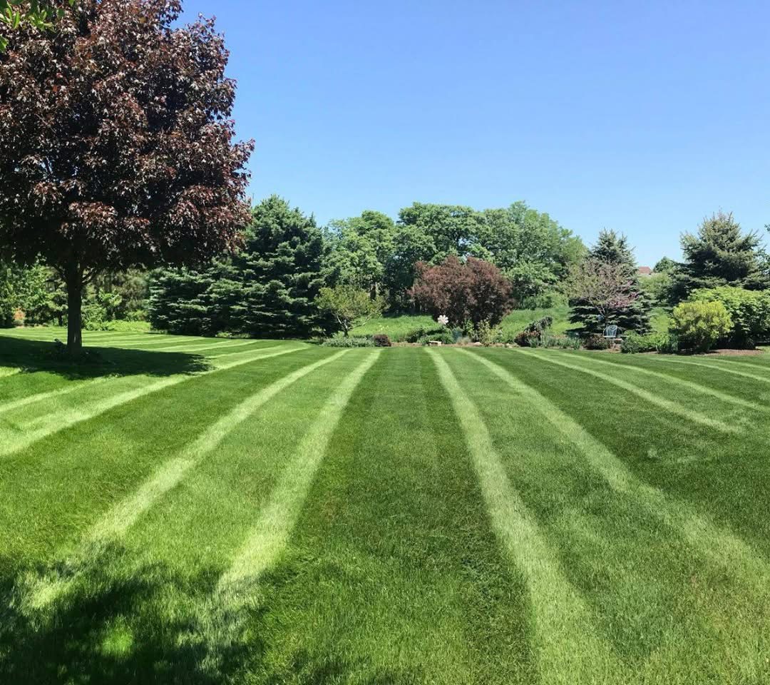 Lawn Care & Maintenance