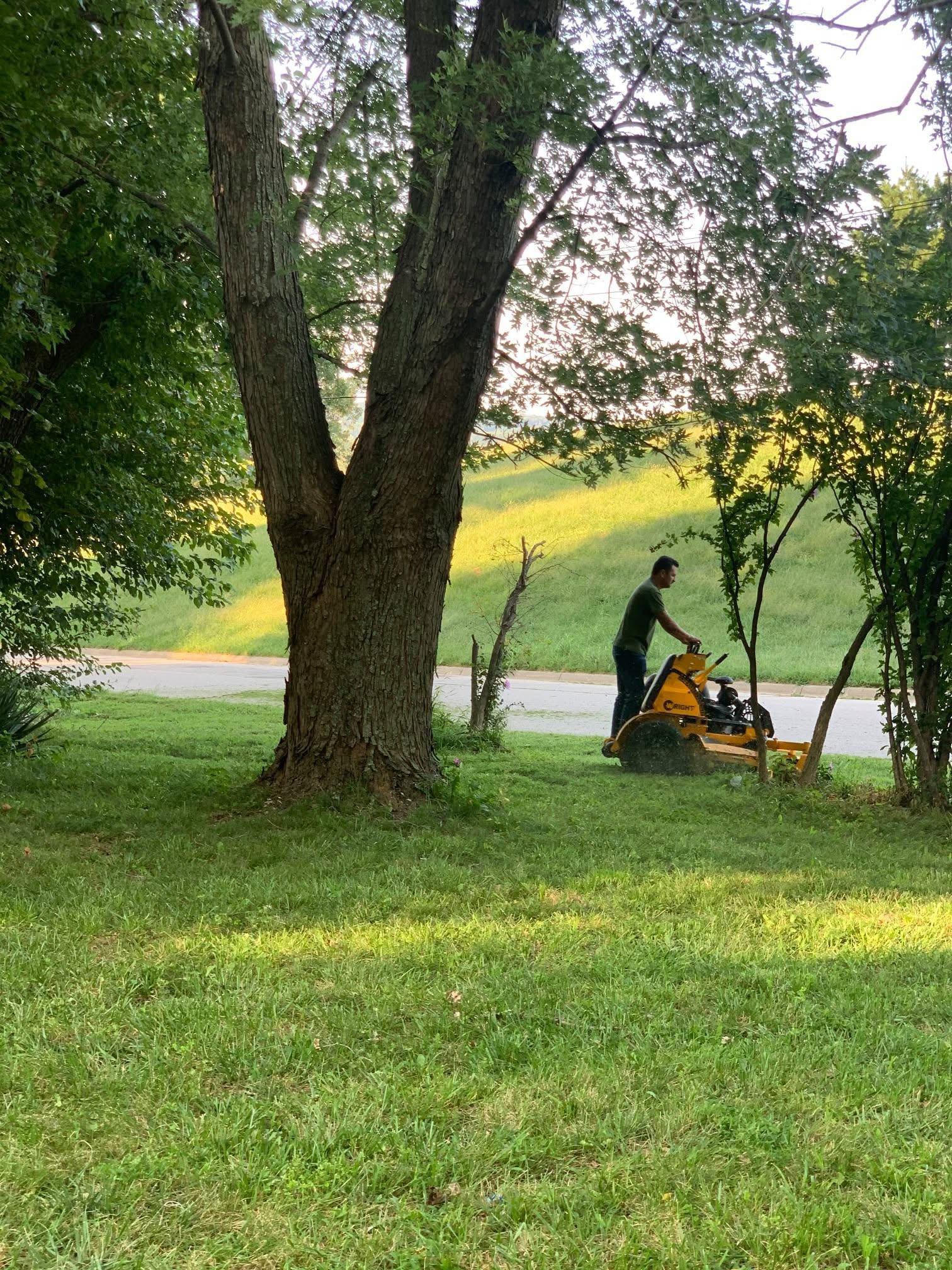 Worker operating zero-turn mower between trees