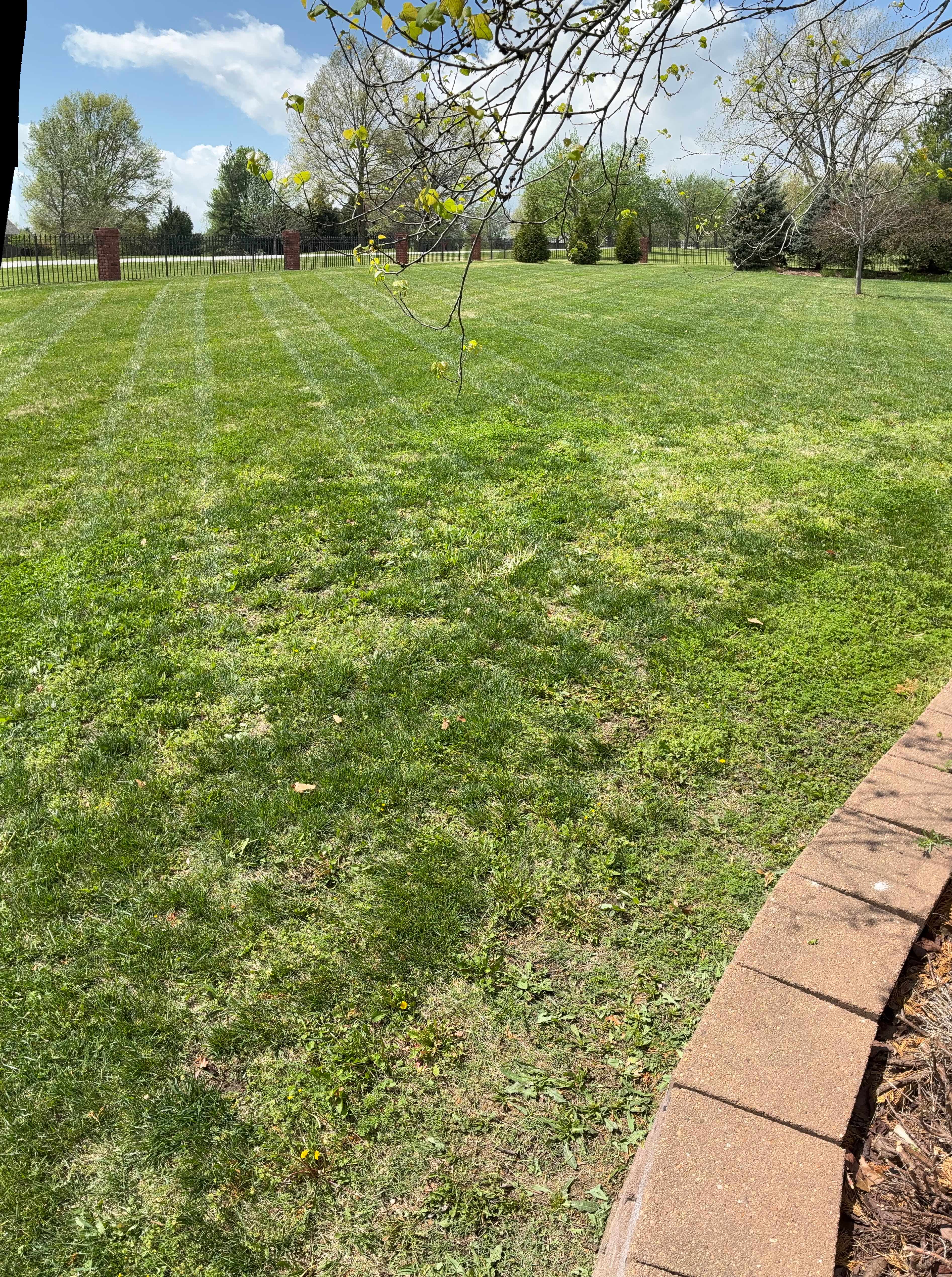 Large gated lawn mowing