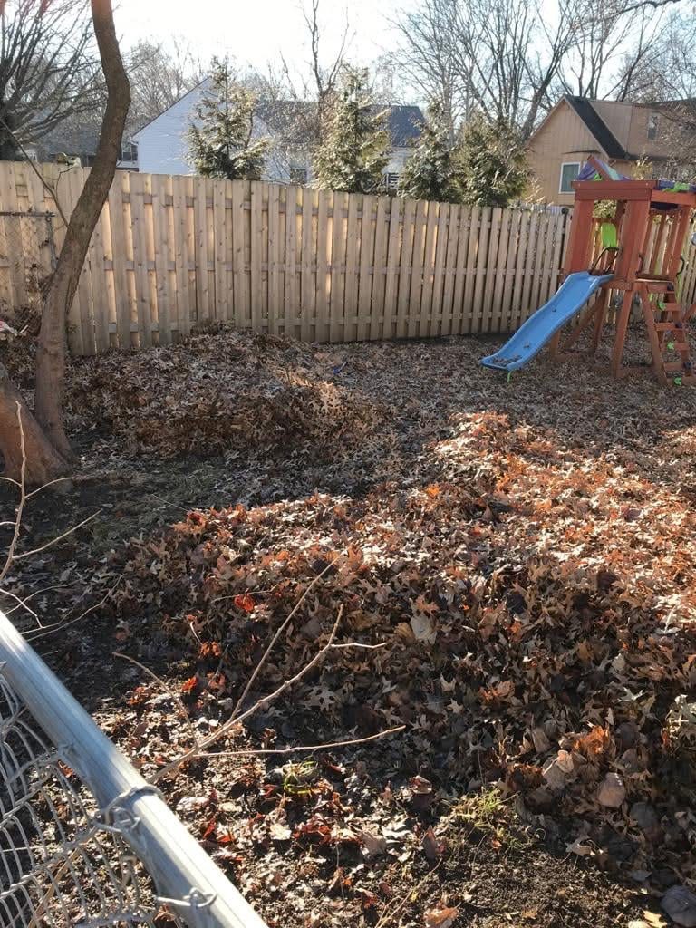 Leaves raked into large piles
