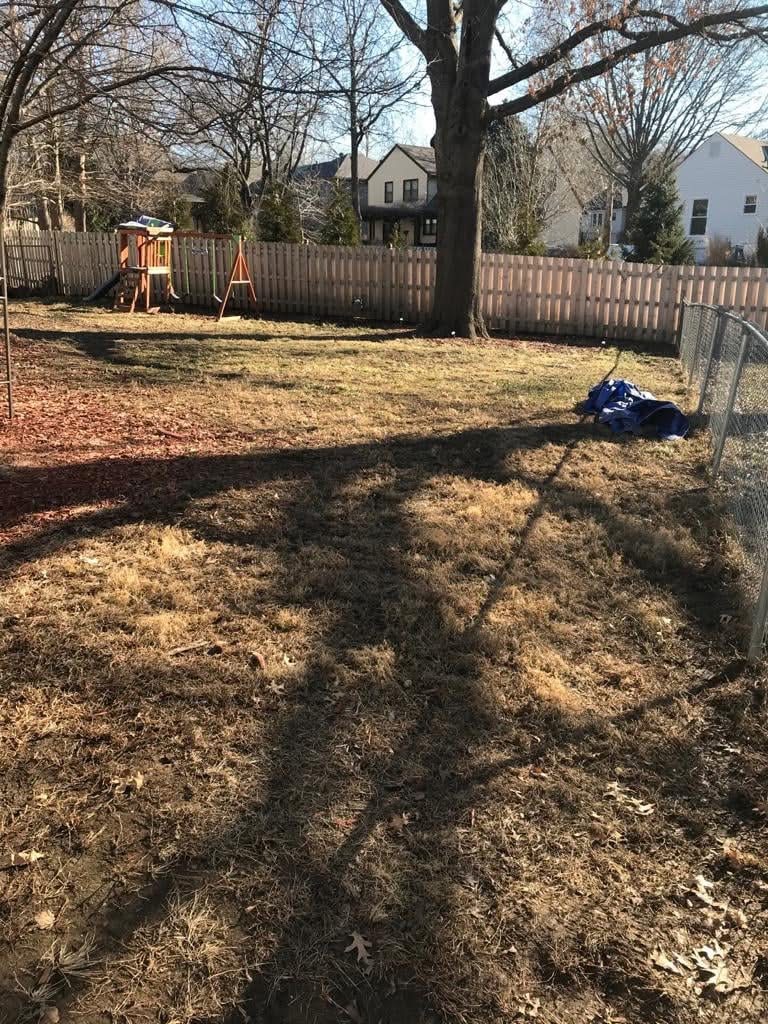 Yard fully cleared after leaf cleanup