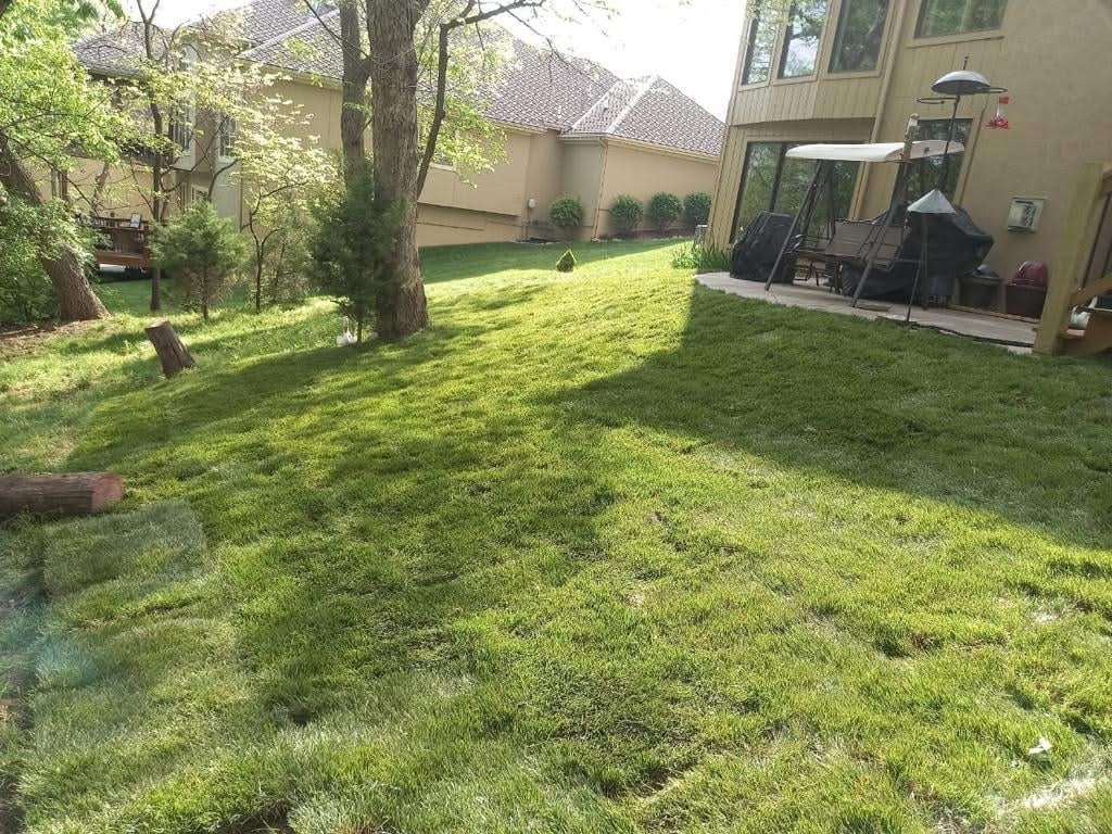 Lush established lawn beside deck stairs