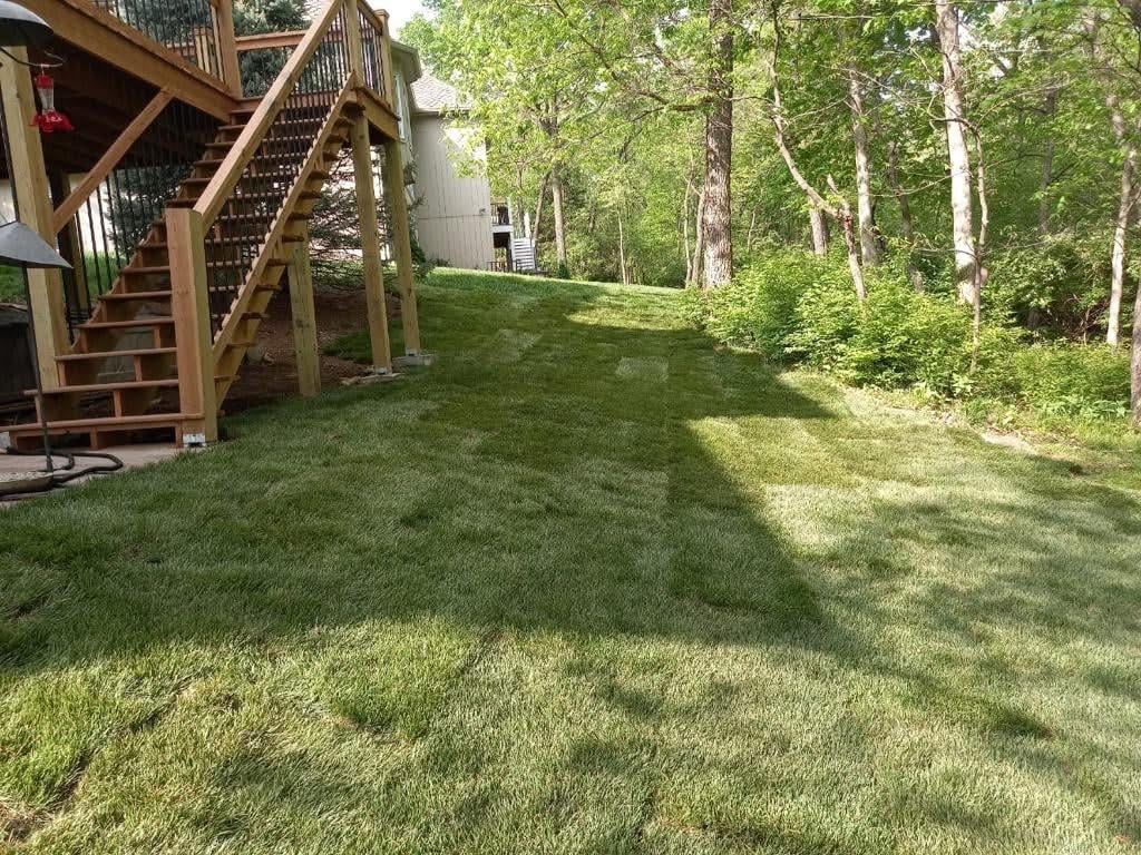 Tilled and graded soil prepared for seeding at second property